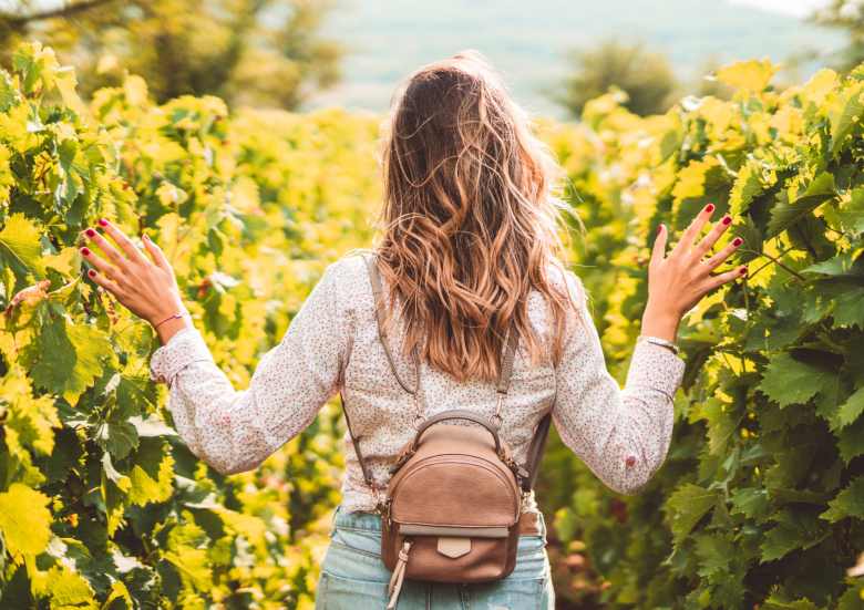 Wanderaufenthalt im Herzen der elsässischen Weinberge