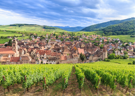 riquewihr hotel le schoenenbourg, hotel en la ruta del vino en alsacia