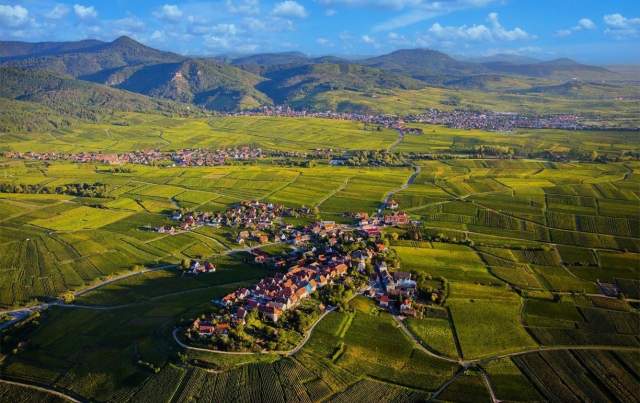 vignoble, hôtel best western sur la route des vins en alsace