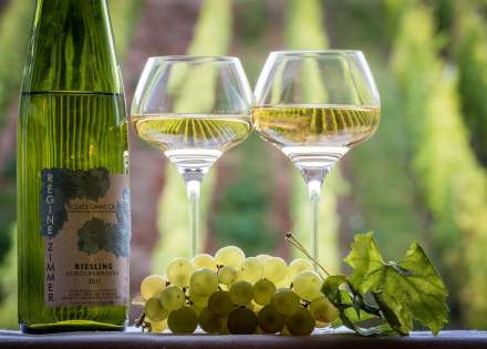 copas de vino para degustar en la ruta del vino de Alsacia