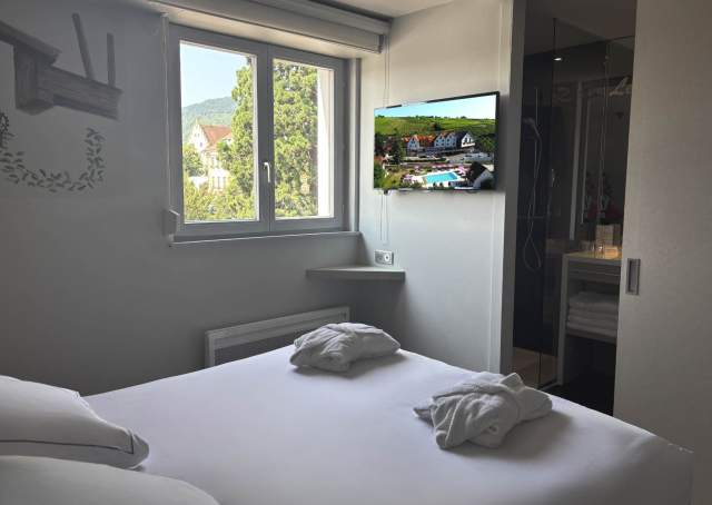 Familiale 4 personnes, hôtel best western plus sur la route des vins en alsace