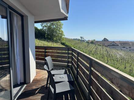 Terrasse chambres Deluxe