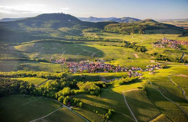 vignoble haut koenigsbourg, hôtel best western sur la route des vins en alsace