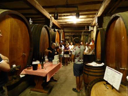 visita a una bodega en Alsacia