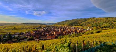 riquewihr hotel le schoenenbourg, hotel en la ruta del vino en alsacia