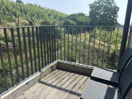 terrasse 235