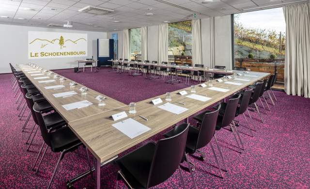 Hôtel Le Schoenenbourg - Séminaire, hôtel best western sur la route des vins en alsace