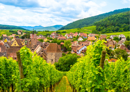 village de riquewihr en alsace