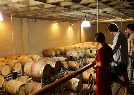 visita a una bodega en Alsacia